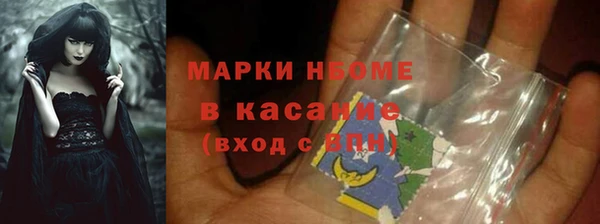 индика Арсеньев