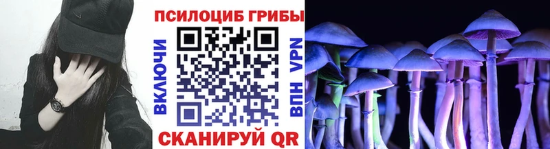 цена наркотик  Покачи  Псилоцибиновые грибы MAGIC MUSHROOMS 